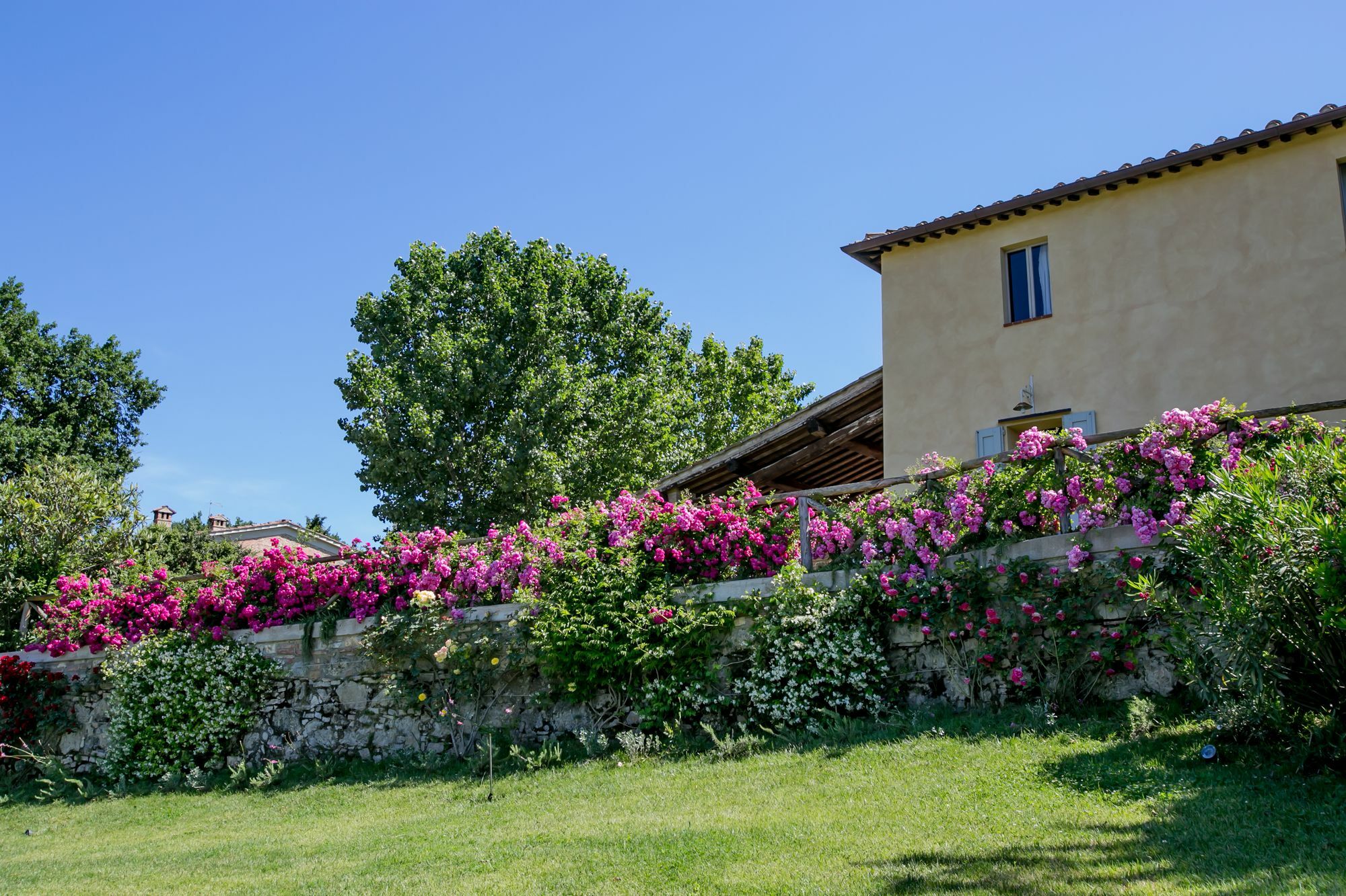 Podere La Strega Siena Exterior photo